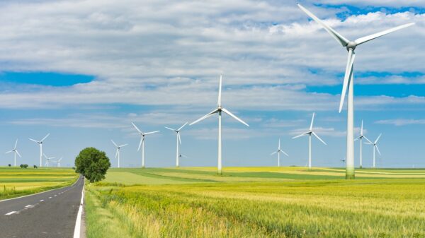 Treasury, IRS extend safe harbor for renewable energy projects